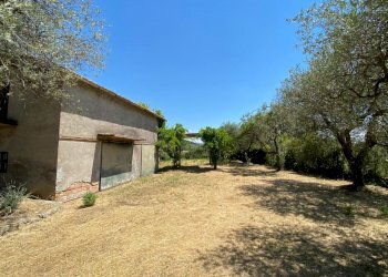 WhatsApp Image 2022-06-14 at 12.30.07 (3).jpeg - Villa Via Rimembranze 45, Amelia - photo 12