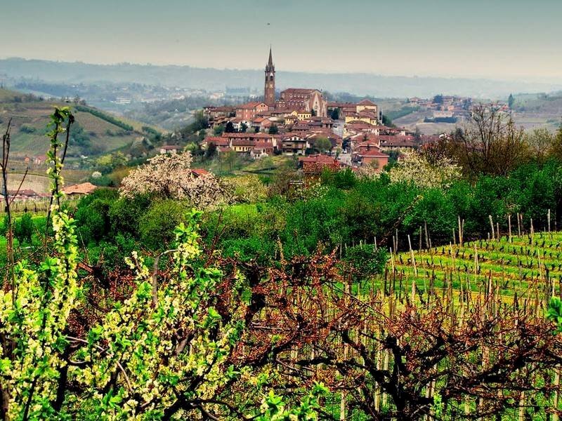 Independent house Priocca - photo 2