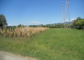 DSCN1767.jpg - Terreno agricolo Via Gragnola 36, Castelnuovo Magra - foto 1