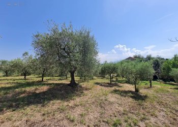 Rustic Castorano - photo 6