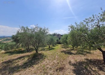 Rustic Castorano - photo 7