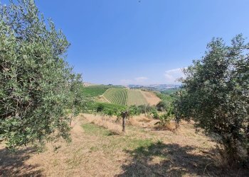 Rustic Castorano - photo 8