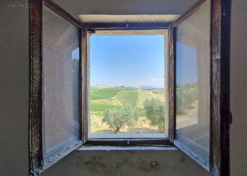 Rustic Castorano - photo 13