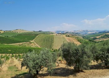 Rustic Castorano - photo 14