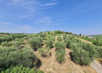 Rustic Castorano - photo 18