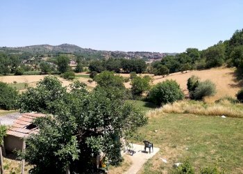 15.jpg - Terratetto - Terracielo Strada Vicinale da Macereto alle Grondici 3, Panicale - foto 15