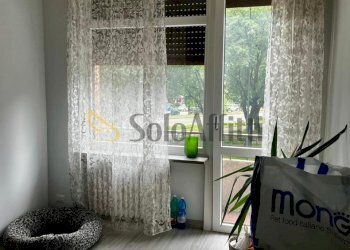 WhatsApp Image 2026-04-28 at 16.37.04.jpeg - Trilocale Via Gorizia 199, Torino (zona Santa Rita) - foto 10