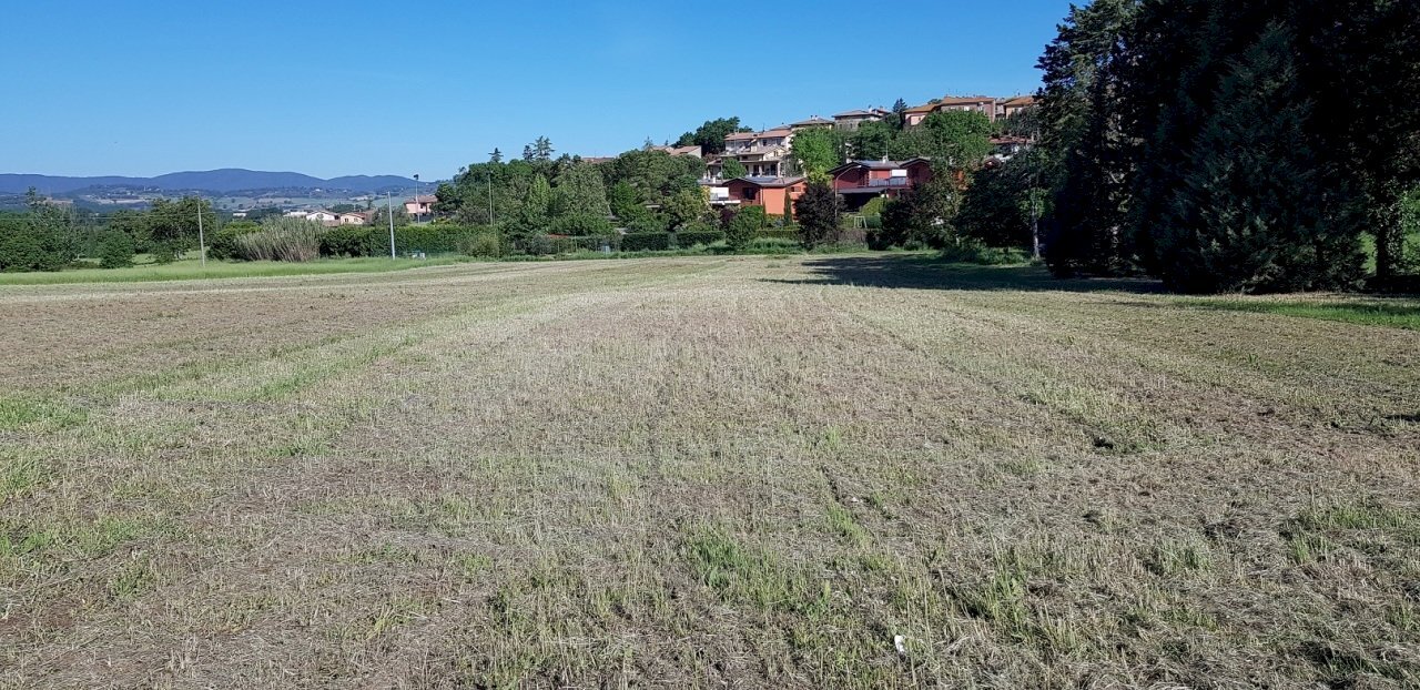 terreno - Terreno agricolo Strada Castel del Piano - Bagnaia snc, Perugia - foto 2