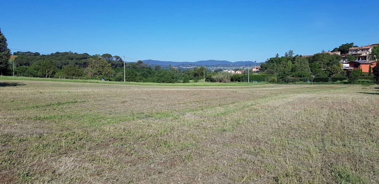 terreno - Terreno agricolo Strada Castel del Piano - Bagnaia snc, Perugia - foto 3