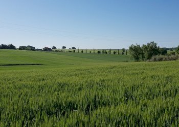 viste - Agricultural land Strada Castel del Piano - Bagnaia snc, Perugia - photo 6