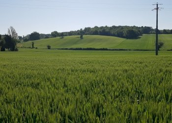 viste - Agricultural land Strada Castel del Piano - Bagnaia snc, Perugia - photo 7