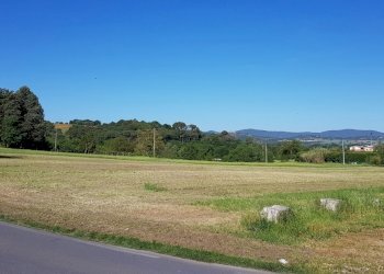 terreno - Agricultural land Strada Castel del Piano - Bagnaia snc, Perugia - photo 10