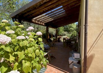 AMEGLIA VILLA INDIPENDENTE CON GIARDINO (9).jpg - Casale Ameglia - foto 6