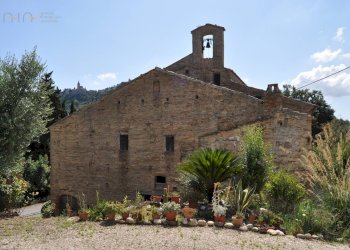 Rustic Contrada Carmine, Ripatransone - photo 4