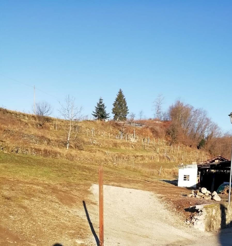 Building land Tenna - photo 2