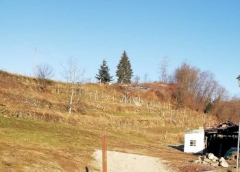 Terreno edificabile Tenna - foto 2