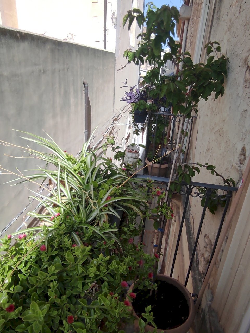 IMG_20220621_160918.jpg - Apartment Via Vincenzo Mirabella, Siracusa - photo 3