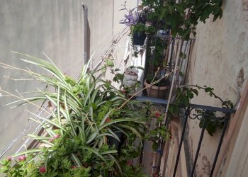 IMG_20220621_160918.jpg - Apartment Via Vincenzo Mirabella, Siracusa - photo 3