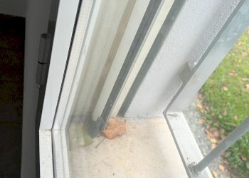 IMG_1136.JPG - Magazzino Via del Lavoro 213, Crevalcore - foto 11