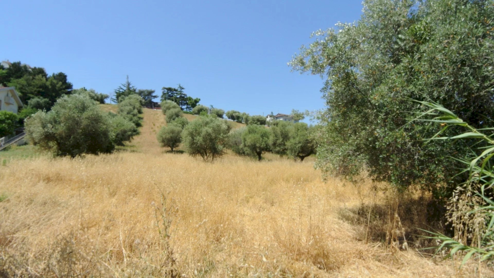 Terreno edificabile CONTRADA FONTE DELL'ABBAZIA, Montesilvano - foto 2