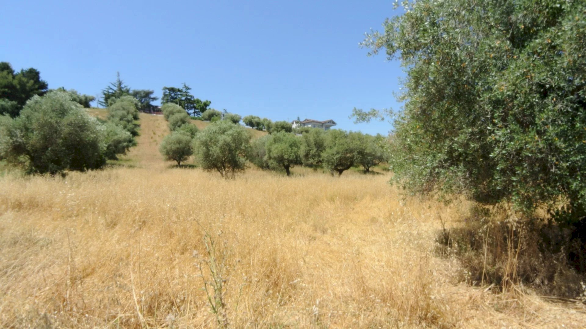 Terreno edificabile CONTRADA FONTE DELL'ABBAZIA, Montesilvano - foto 3