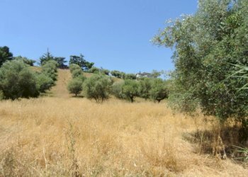 Terreno edificabile CONTRADA FONTE DELL'ABBAZIA, Montesilvano - foto 2