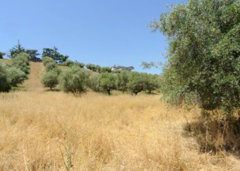 Terreno edificabile CONTRADA FONTE DELL'ABBAZIA, Montesilvano - foto 4