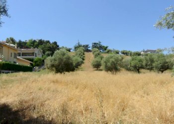Terreno edificabile CONTRADA FONTE DELL'ABBAZIA, Montesilvano - foto 11