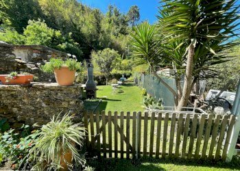 473036 - Copia - Copia - Copia.jpg - Terratetto - Terracielo Pietrasanta - foto 3