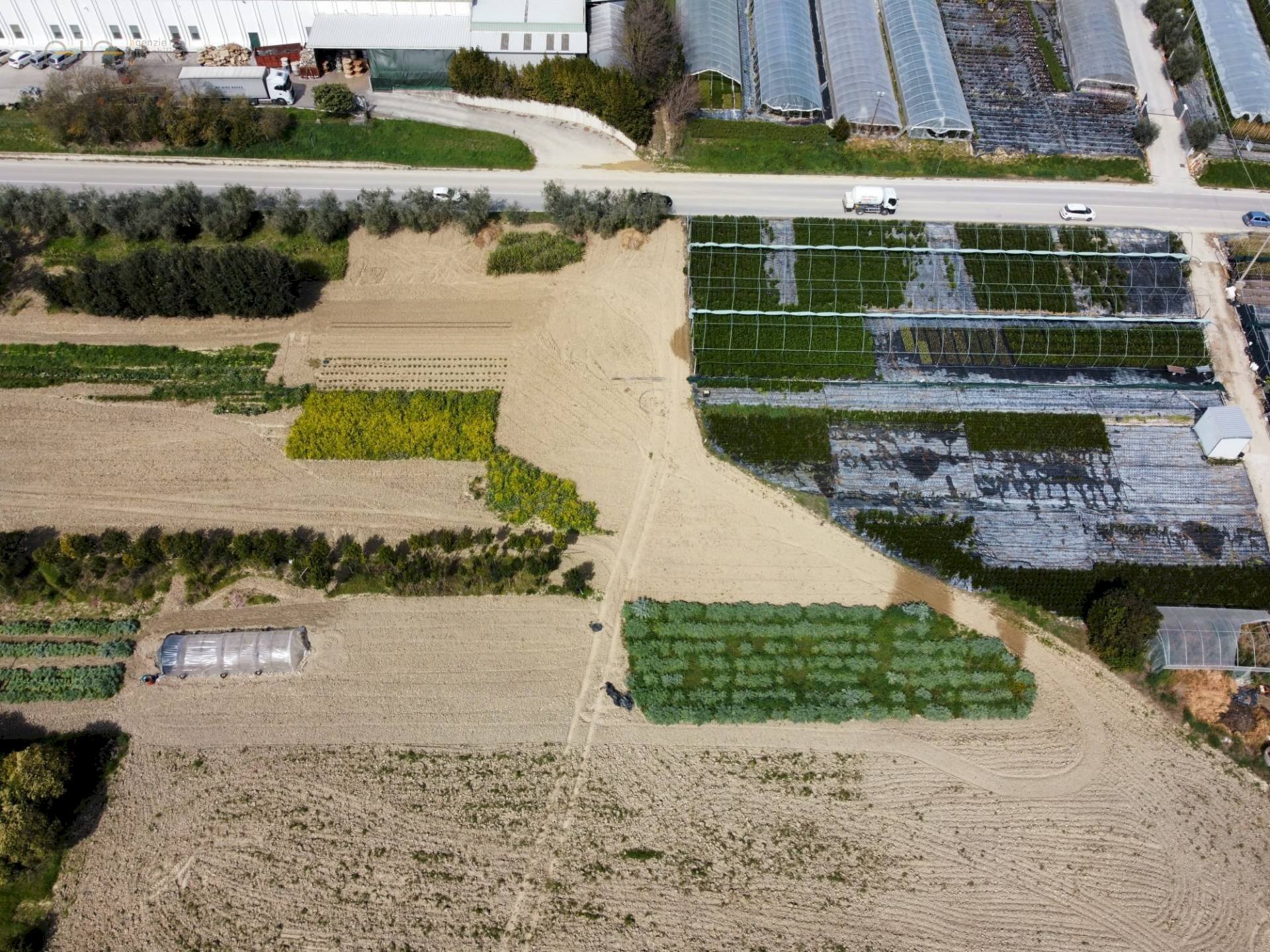Terreno agricolo Via Penna, Ripatransone - foto 2