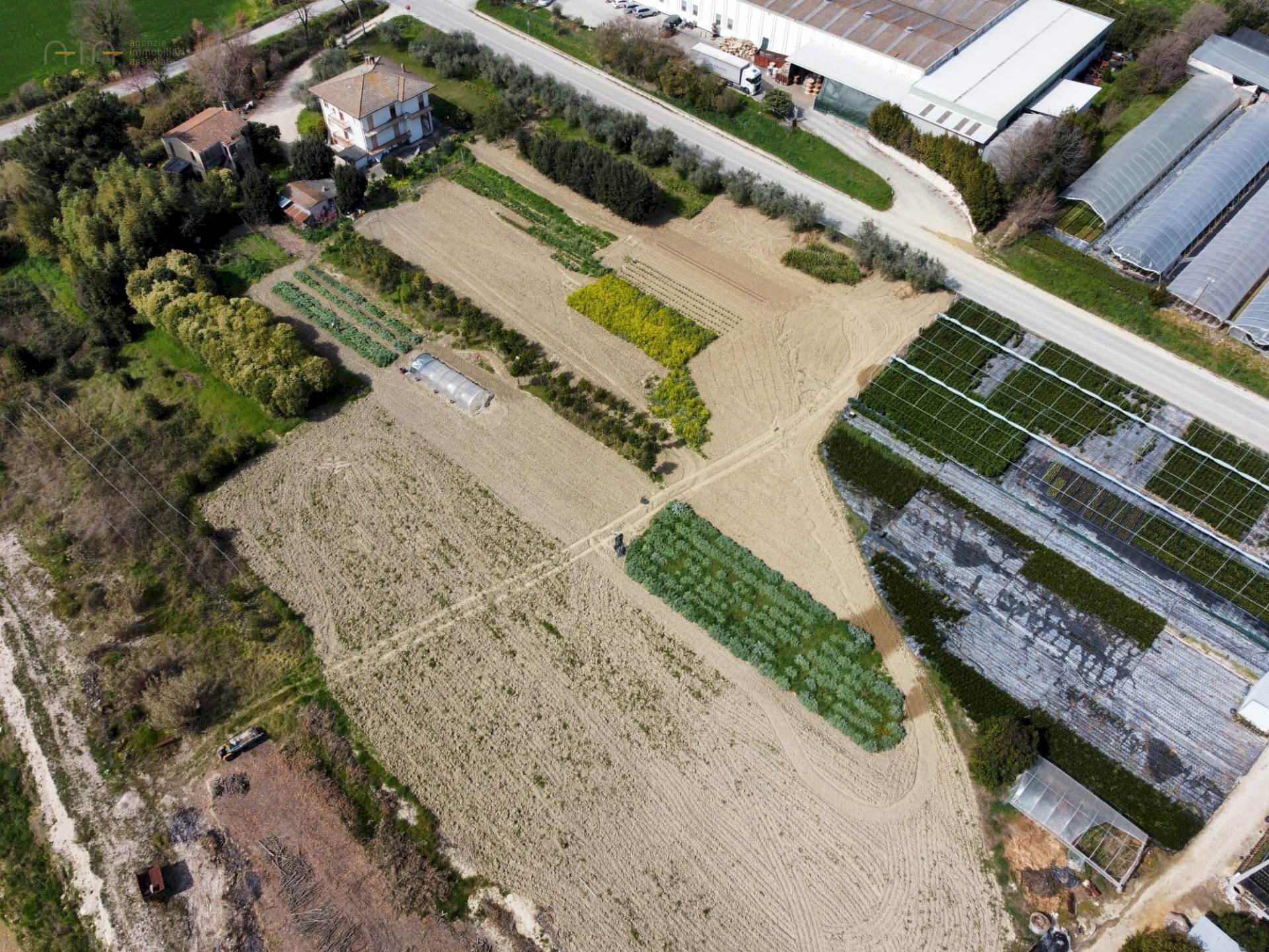 Terreno agricolo Via Penna, Ripatransone - foto 3