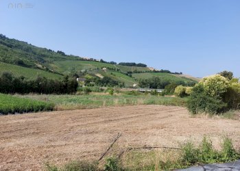 Agricultural land Via Penna, Ripatransone - photo 8
