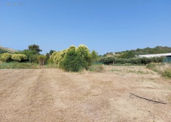Agricultural land Via Penna, Ripatransone - photo 9