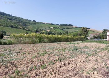 Agricultural land Via Penna, Ripatransone - photo 13