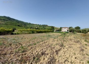 Agricultural land Via Penna, Ripatransone - photo 12