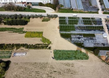 Agricultural land Via Penna, Ripatransone - photo 2