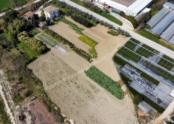 Agricultural land Via Penna, Ripatransone - photo 3