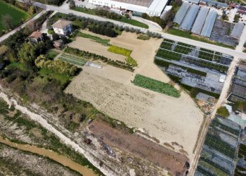 Agricultural land Via Penna, Ripatransone - photo 5