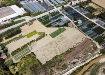 Agricultural land Via Penna, Ripatransone - photo 6