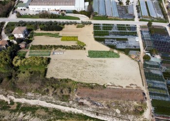 Agricultural land Via Penna, Ripatransone - photo 7