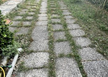 IMG_6971.jpg - Appartamento Sarzana - foto 13