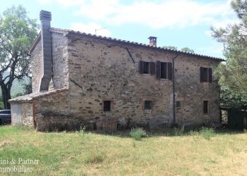 03.jpg - Rustico 344R+84 Panicale, Panicale - foto 3