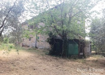 24.jpg - Rustico 344R+84 Panicale, Panicale - foto 24