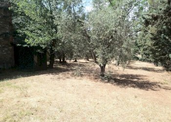 27.jpg - Rustico 344R+84 Panicale, Panicale - foto 27