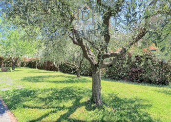 414628998.jpg - Casa semi indipendente Sarzana - foto 12