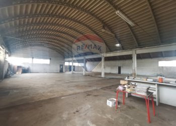 Capannone Orti, Alessandria, Alessandria - foto 6