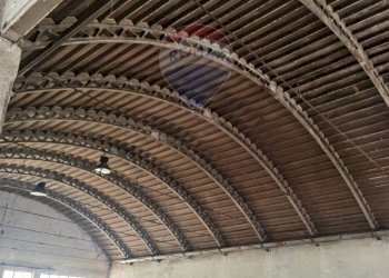 Capannone Orti, Alessandria, Alessandria - foto 14