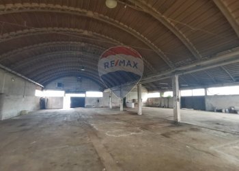 Capannone Orti, Alessandria, Alessandria - foto 18