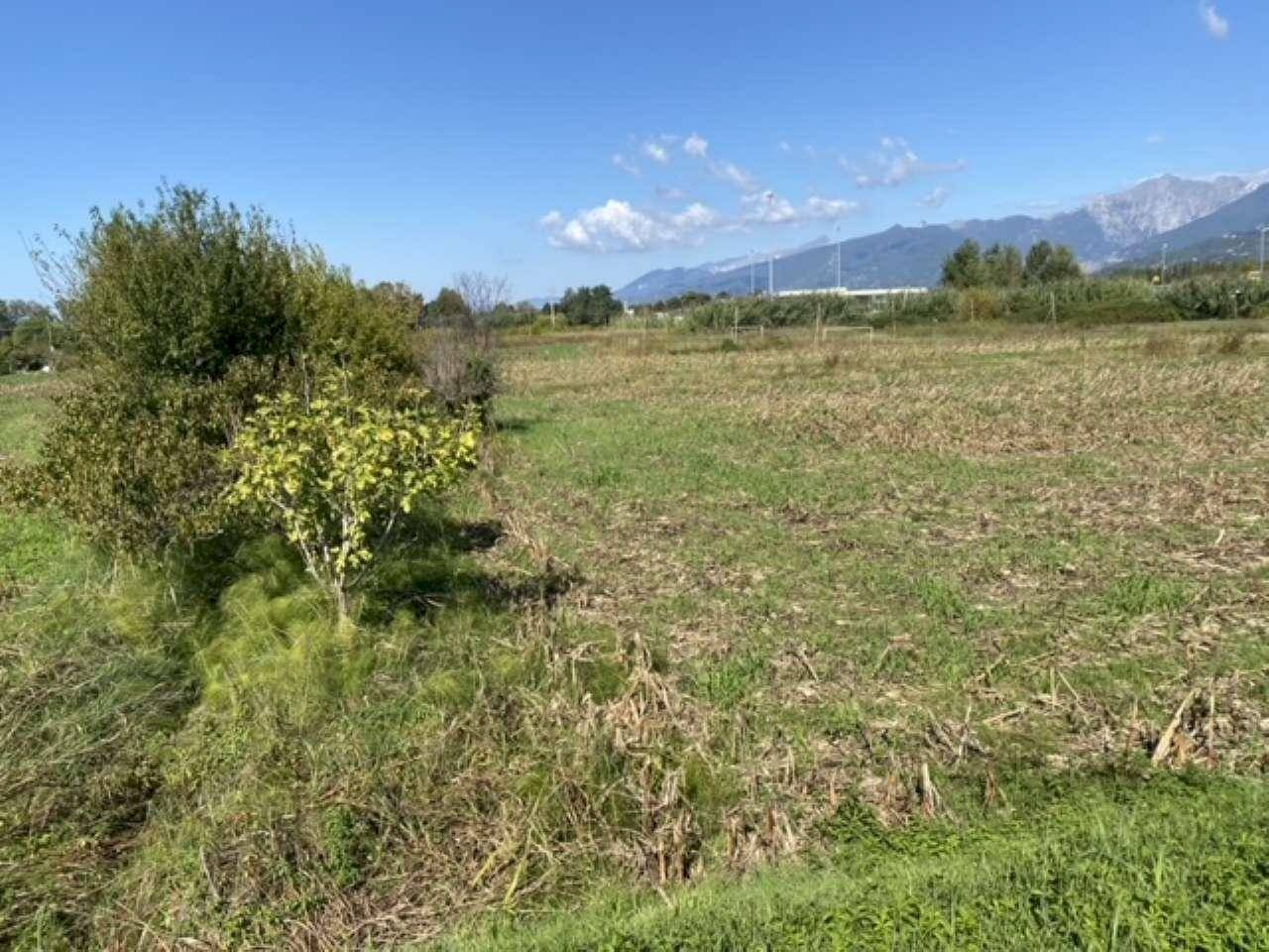 xxl (6).jpg - Casale Pietrasanta - foto 2