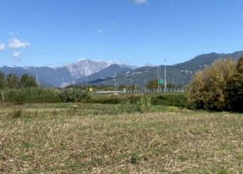 xxl (7).jpg - Casale Pietrasanta - foto 1